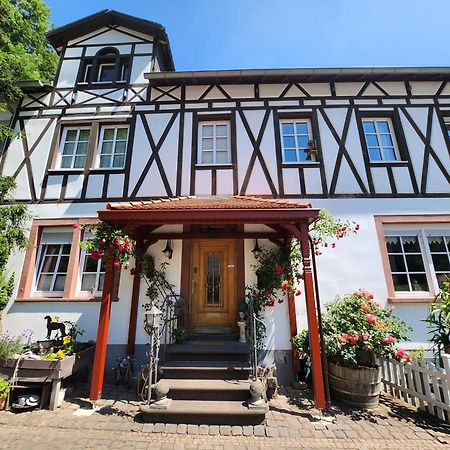 Gaestehaus Beurener Muehle Bad Bertrich Exterior photo